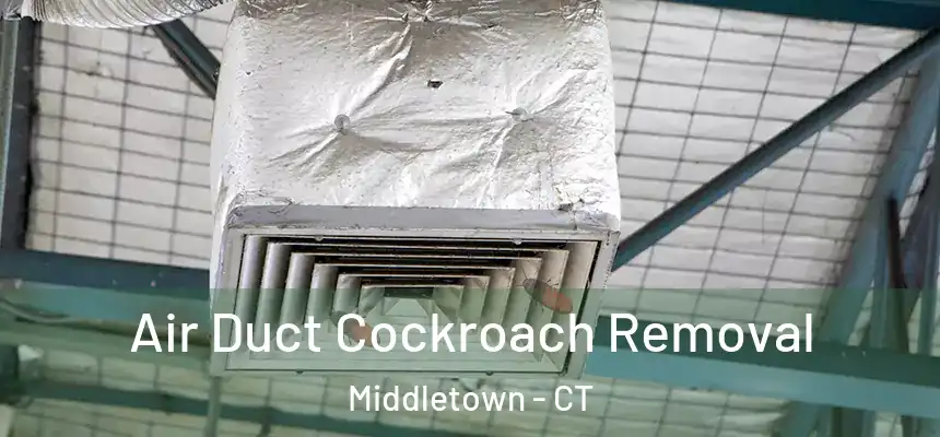 Air Duct Cockroach Removal Middletown - CT