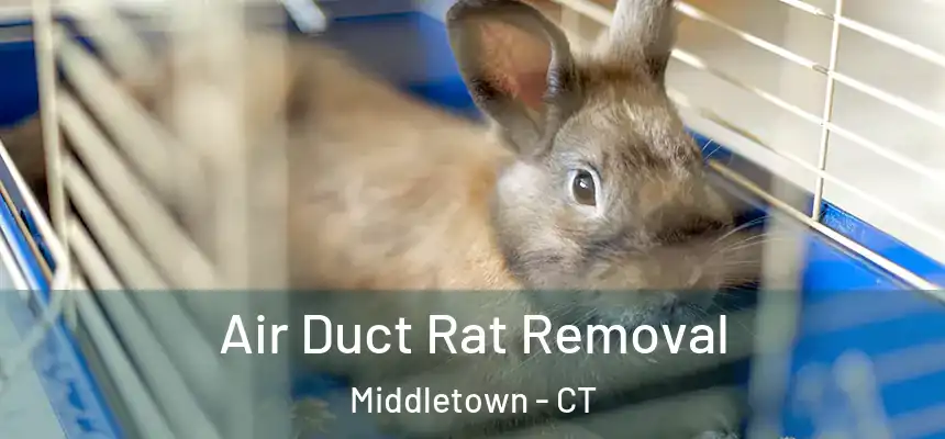 Air Duct Rat Removal Middletown - CT