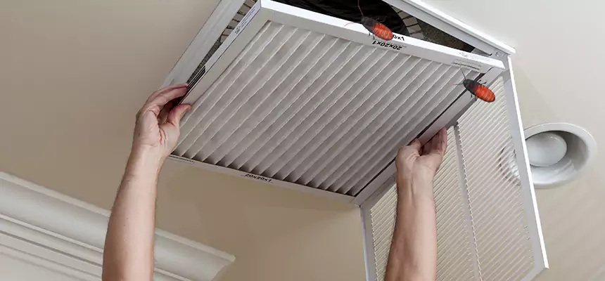 Preventive Cockroach-Proofing for Ducts in Middletown