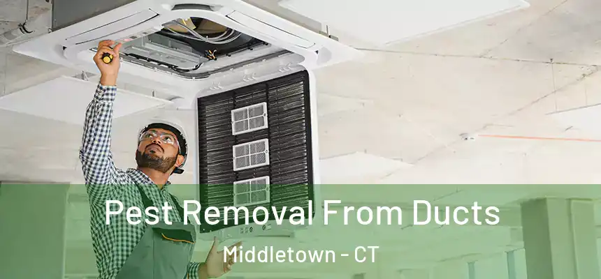 Pest Removal From Ducts Middletown - CT