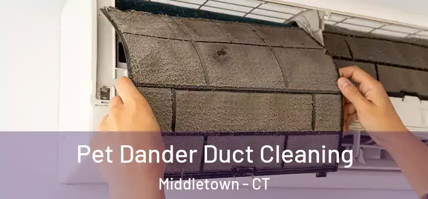 Pet Dander Duct Cleaning Middletown - CT