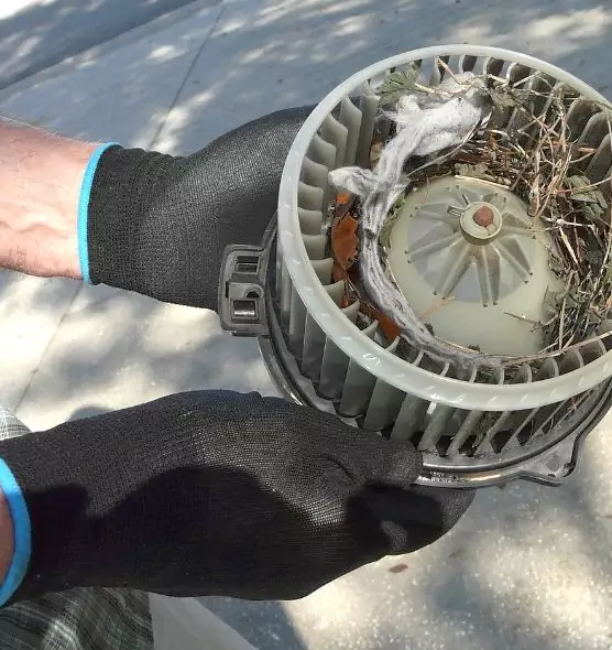 About Air Duct Mice Removal in Middletown, CT