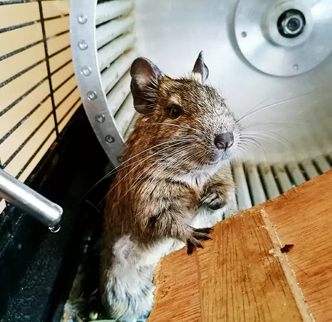 Why Homeowners & Businesses Trust Us Middletown, CT